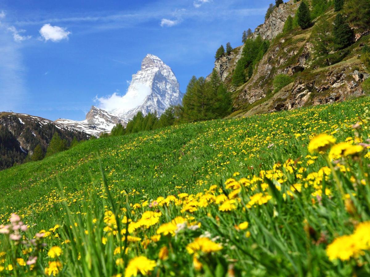 Apartment Breithorn By Interhome Zermatt Luaran gambar